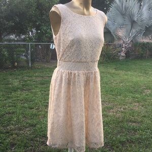 Loft  Lace Dress Size 6